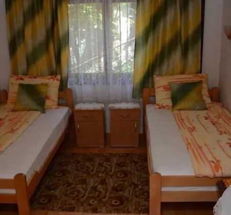 Vila Natalija Guest house Gornja Trepca
