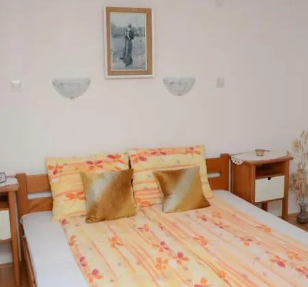 Guest house Vila Natalija *
